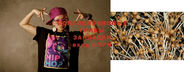 дурь Абдулино