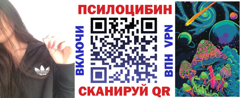 Псилоцибиновые грибы Cubensis  Партизанск 