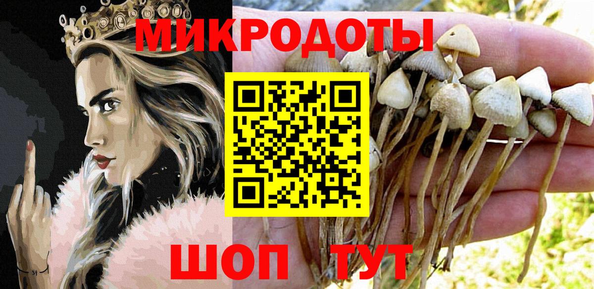 Галлюциногенные грибы прущие грибы Партизанск