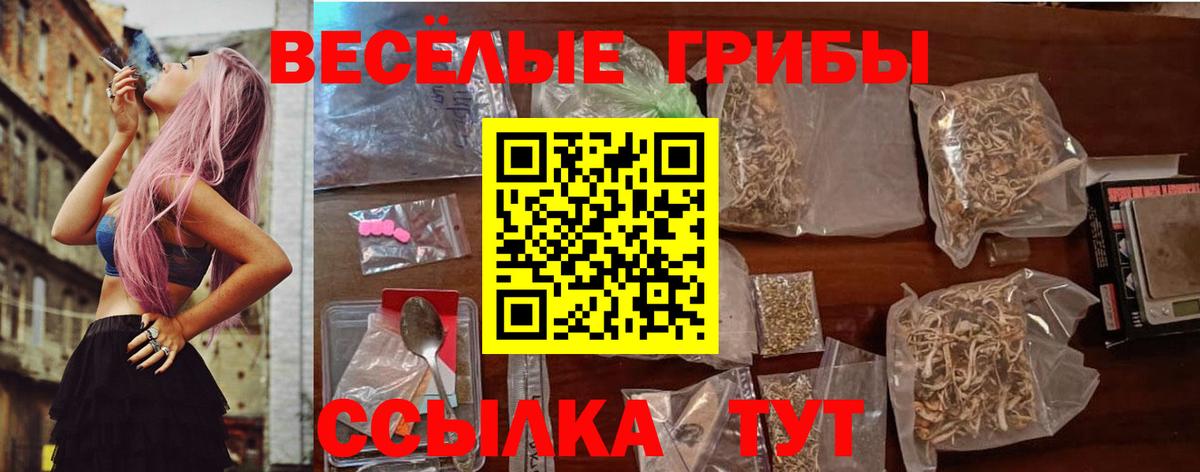 Псилоцибиновые грибы Psilocybine cubensis  Вход с VPN  Псилоцибиновые грибы мухоморы  Партизанск 